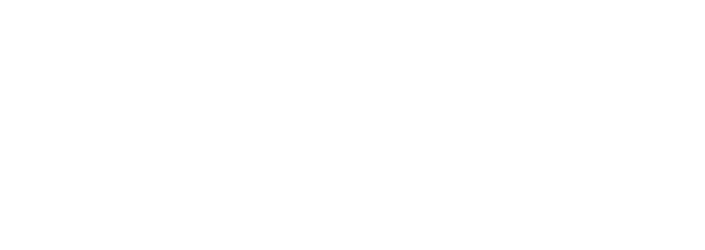 nowfit-now-never logo